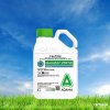 Adama Quinstar 200 SC (Herbicide)